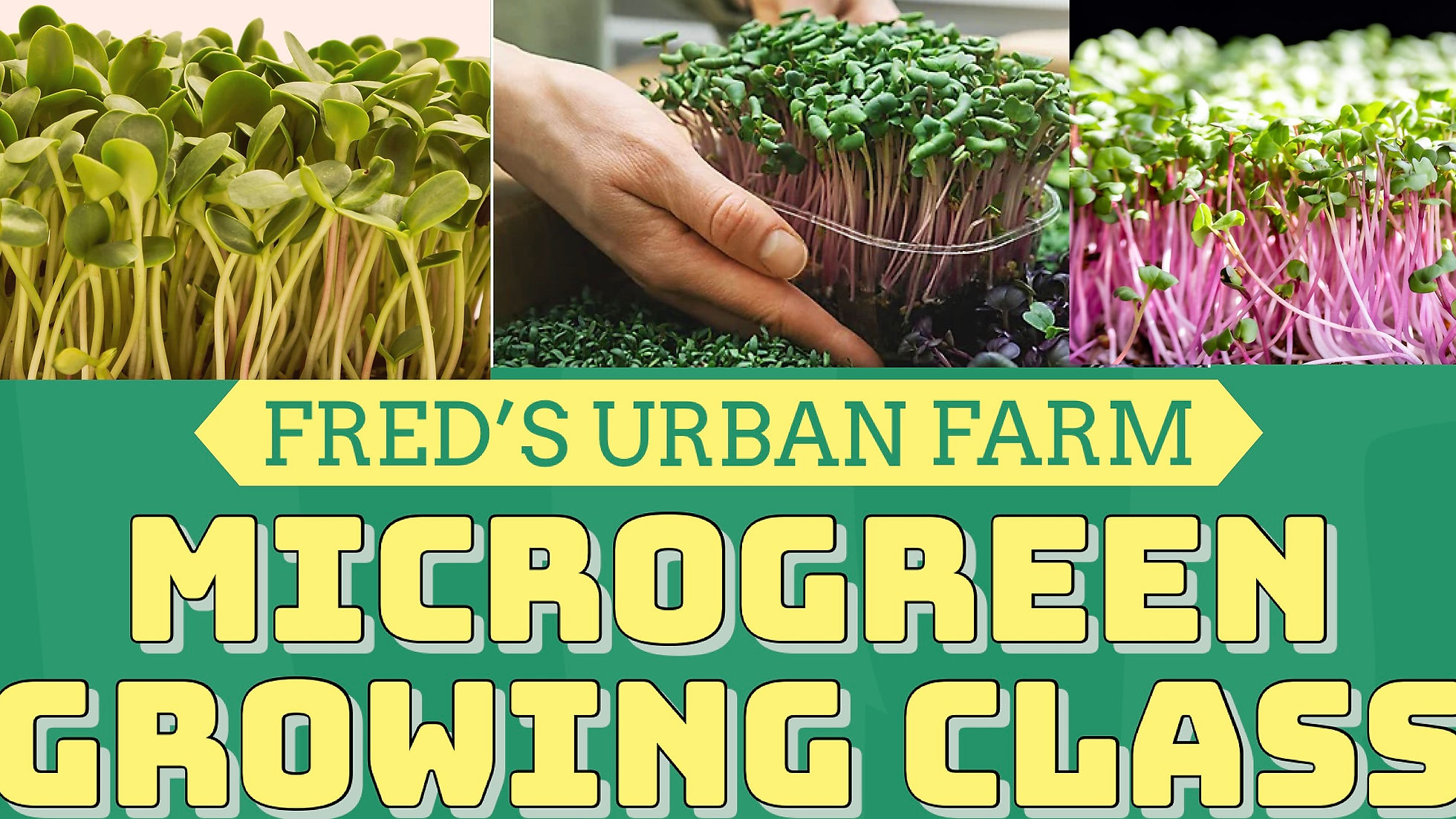 Microgreen Growing Class- Online Class